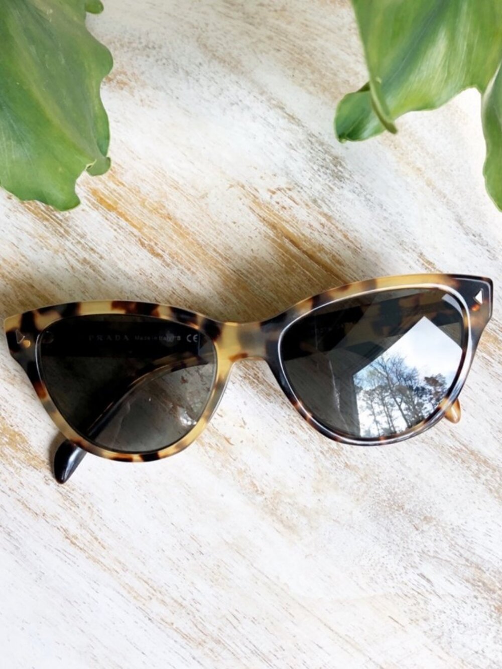 Prada Cat Eye Glasses in Havana Tortoise Shell